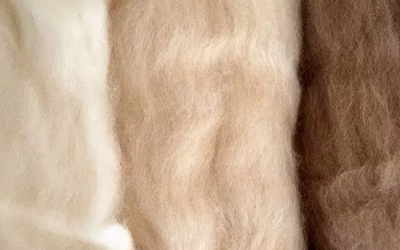 What is cashmere? What are the advantages and disadvantages of cashmere fabric?