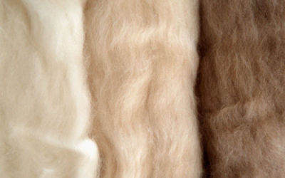 What is the difference between cashmere and wool? How to wash a cashmere coat at home?