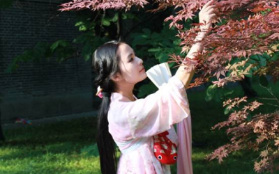 What are the fabrics of Hanfu?